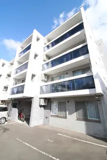 ラフェリオ菊水の画像