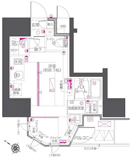 ZOOM中目黒【4階】の間取り