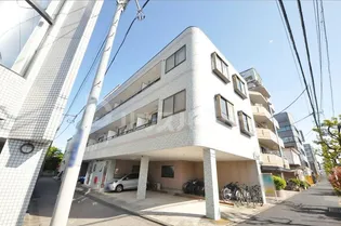 ハイネスマリモの画像