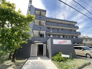 カインドネスQの画像