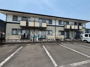 ステラ猪野の画像