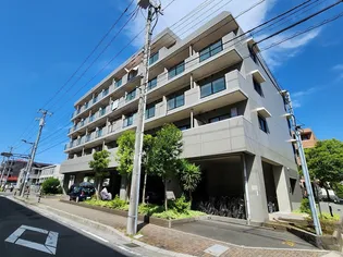 ブルーメの画像