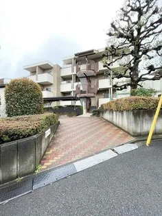 成城ミナミヒルズの画像