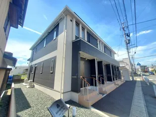 シルバーフォックスの画像