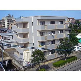 シャンテ八尋の画像