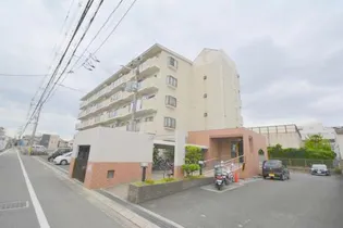 エバーグレイス森本の画像