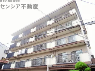 ホワイトシャンボールの画像