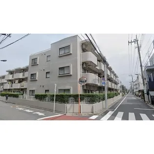 リベラルワタドの画像