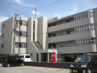 ウィステリア藤江の画像