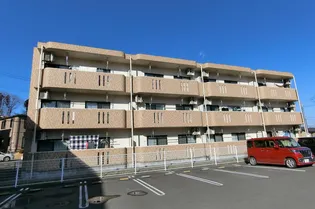 ユーミーカブキの画像