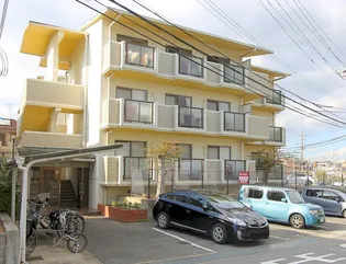 すずらんの画像