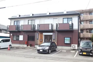 ビーライン松の木の画像