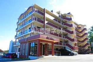 ベルフィオーレの画像