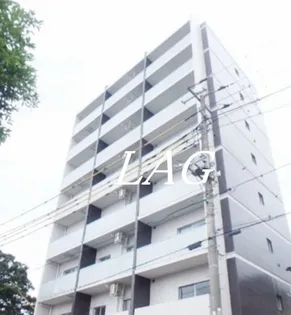 ミリアビタNO 33の画像