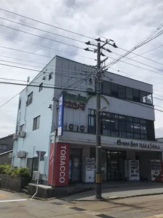 グリーンサムナカシマの画像