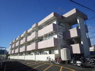 ドミール井ヶ谷【3階】の外観