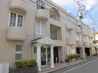 メゾネートスズキの画像