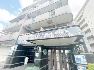 グリフォーネ横浜 妙蓮寺の画像