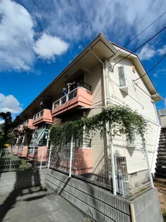 カサ アレグレの画像