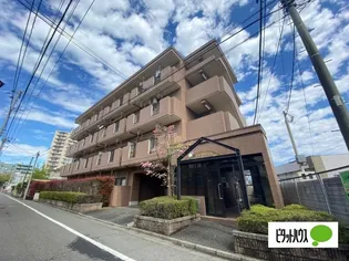 レポーズの画像