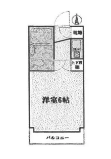 パレドール八王子【2階】の間取り