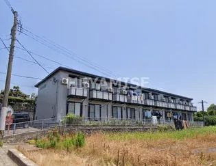 メイソン城見の画像