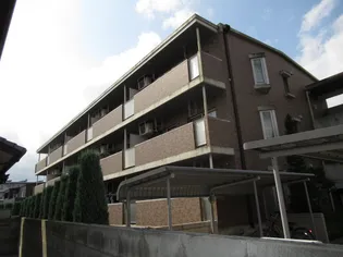 ソレアードMの画像