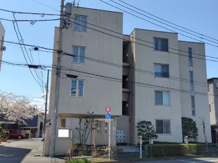 ODENSE桜の画像