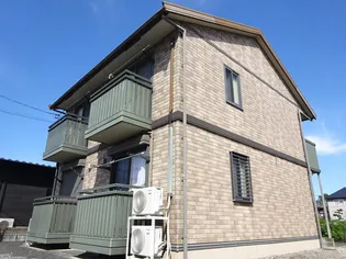 デイジーの画像