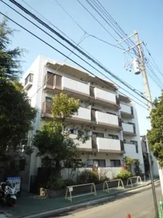 MAISON DE 山田の画像
