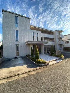 パーレセントの画像