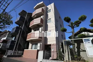 アンバーNの画像