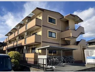 ライツフォルの画像