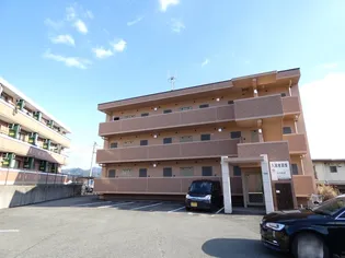 メゾン木の花【2階】の外観