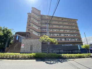 イオリドリームの画像