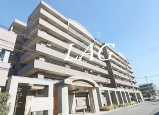 クリサンテーム妙典IIの画像