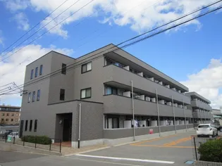 アンプルール フェールM'SⅡの画像