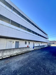 ドルフ桜丘の画像