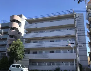 ロス シンコ ソラールの画像