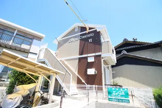 コルポカステロVIの画像