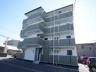 エルーセラの画像