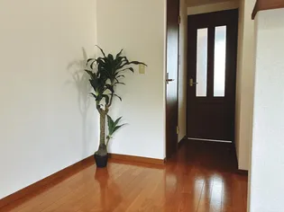 広島県東広島市西条中央2【マンション】の外観