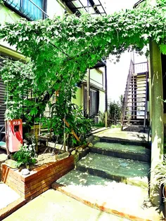 ドミールK C棟の画像