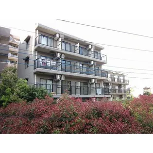 神奈川県川崎市高津区久本1【マンション】の外観