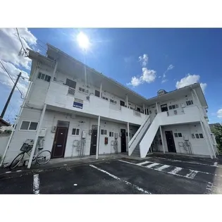 マリンパレットの画像