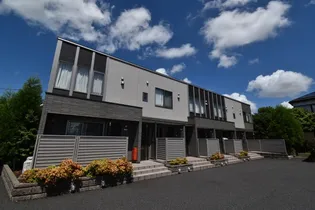 グラウクスの画像