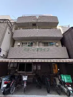 誠心VIビルの画像