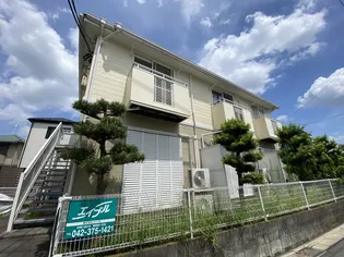 シャルマンTの画像