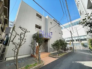 ソフィア55の画像