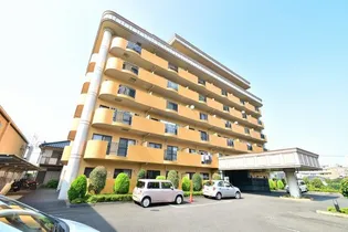 グリーンライトの画像